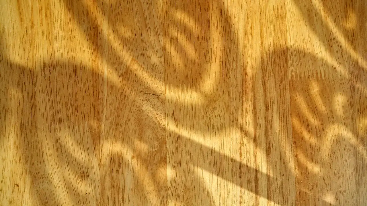 9 Best Hardwood Floor Finishes for MA (Humidity + Pet Tested)