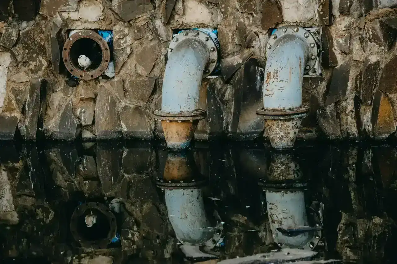 7 Signs Your MA Sewer Line Is About to Fail (Before You Find Out the Hard Way)