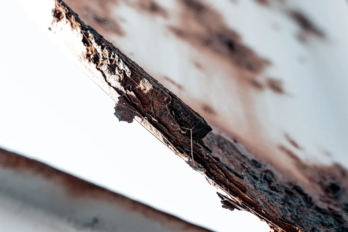 Roofer installing architectural shingles on a Massachusetts home